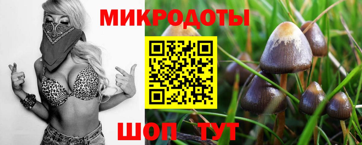 Псилоцибиновые грибы Psilocybine cubensis  купить наркоту  Псилоцибиновые грибы Magic Shrooms  Кашира  Вход с VPN 